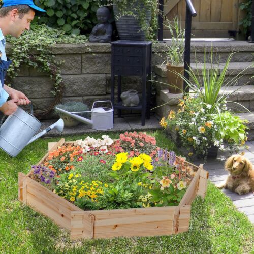 Outdoor Raised Garden Bed for Flowers Vegetables Herb Hexagon DIY Planter Box - Picture 2 of 9