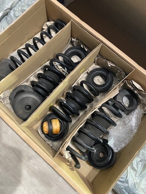 2021 Audi R8 (Stock) suspension coils