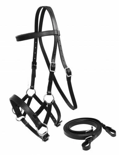 Bride Sidepull Sans Mors Amish USA - Cuir Noir, Taille Cob - Challenger 77RT03BK-C