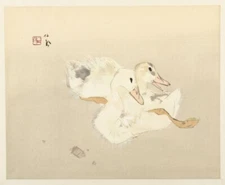 Young Ducks - Takeuchi Seihō - Japanese Naturalist Animal Print 1937 Nihonga