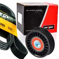 Contitech 5PK1432 Keilrippenriemen + Rolle FüR A4 A6 Passat Superb 1.9 2.0D Vw
