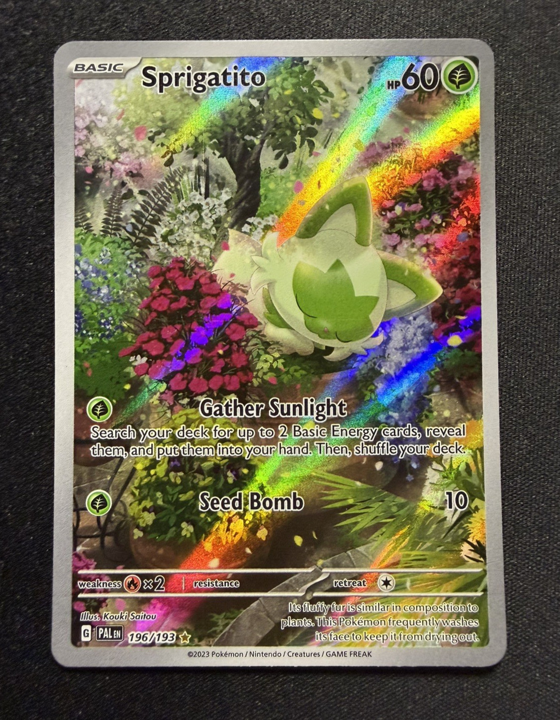 Pokémon Sprigatito 196/193 Paldea Evolved Full Art Holo Illustration Rare NM