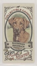 2019 Topps Allen & Ginter Collectable Canines Minis Rhodesian Ridgeback y8h
