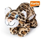 Bild 2 von 7