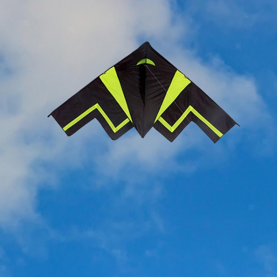 Giant Fighter Jet Kite Fly Kite Beach Toys Triangle Kite Cooles