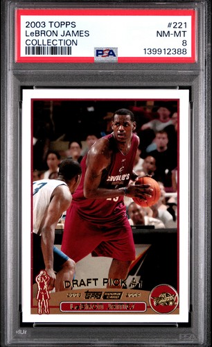 LeBron James [Collection] #221 2003 Topps card