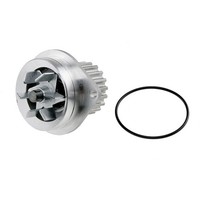 NTY Wasserpumpe FüR Peugeot 206 CC 2D 1.6 16V 307 3A/C 3H CitroëN Berlingo MF