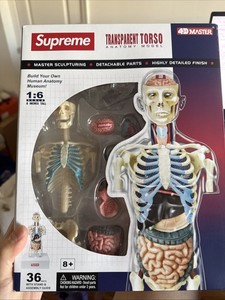 Supreme Anatomy Model for sale | eBay