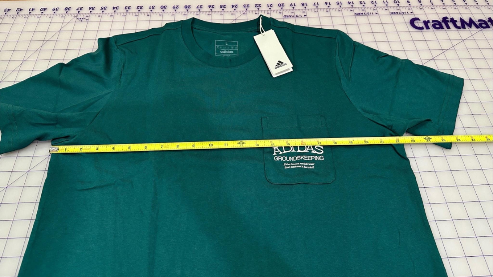 Picture 6 of 12