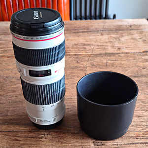 Canon EF 70-200mm f/4L USM Zoom Lens EF Mount 67mm w/ET-74 Hood Cap