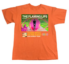 The Flaming Lips Yoshimi Battles The Pink Robots World Tour 2025 T Shirt AR1376