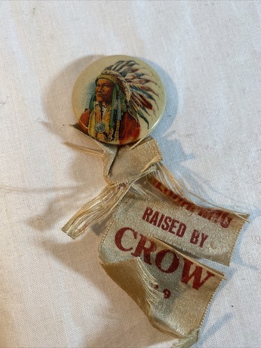 GORRO JEFE INDIO EN GUERRA a todo color estaño metal pinback botón levantado por cuervo - Imagen 6 de 9