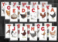 OGDENS SET:   POULTRY ALPHABET.    1924