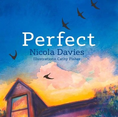 Perfect | Nicola Davies | Englisch | Buch | Gebunden | 2017 | Graffeg Limited