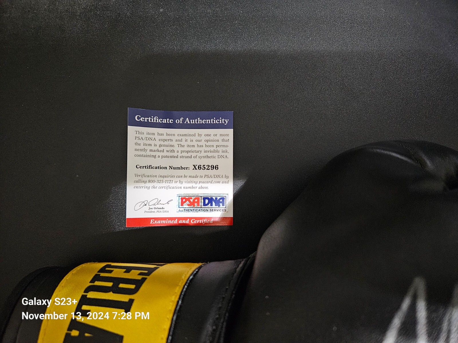 Mike Tyson Autographed Glove PSA DNA view 3