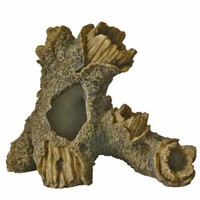 Superfish Aquarium Deko Baum-Wurzel GrößE S 23X16X17 Cm