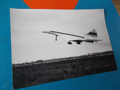 Concorde - Photo aviation - Format 13x18 - Collection/Aviation