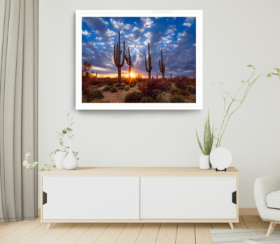 Coctus Plant Print, Forest Wall Art, Cloudy Sky Framed Sunset Wall Art, Natural 