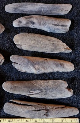 15 Medium Hardwood Beautiful Lake Superior Driftwood for Creative Projects