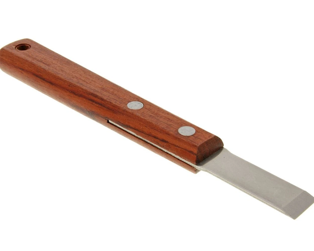 Dichtungsschaber Buzzetti – Edelstahl, 15 mm Breite