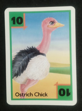 Bicycle kids Zoo Baby Rummy Single Card Green Ostrich Chick #10