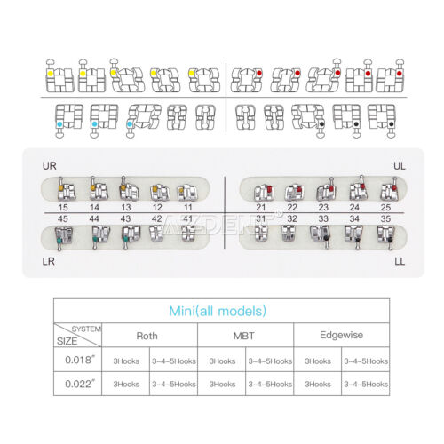 AZDENT Dental Kieferorthopädische Metall Bracket Zahnspange Mini Roth.018 3 4 5 Haken - Bild 9 von 16