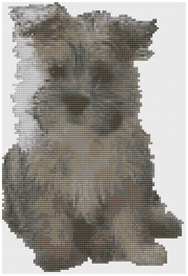 Kreuzstich Vorlage von Florashell   Shih Tzu Hund