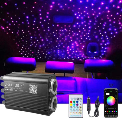 Twinkle Starlight Headliner Light,32W 1000Pcs 13.1Ft LED Star Ceiling Fiber Opti