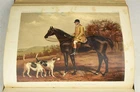 1875 S Sidney The Book of The Horse Cassell Petter & Galpin Colour Plates MUDIE