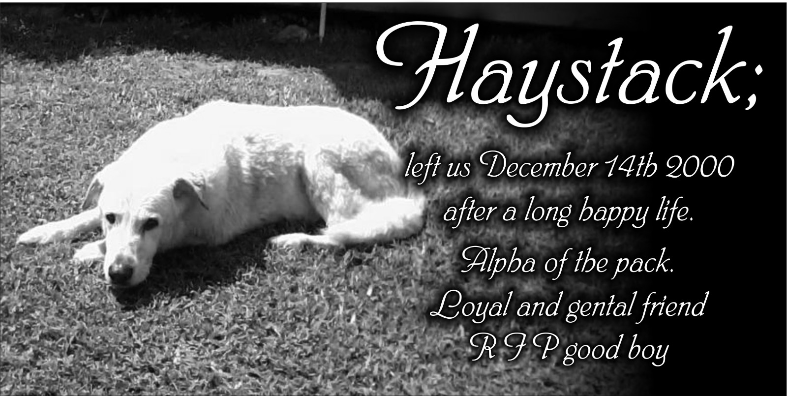 Personalized Pet Stone Memorial Grave Marker Granite Plaque Human headstone dog