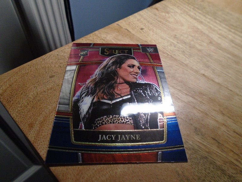 Jacy Jayne #97 Concourse RC Panini Fatal Attraction