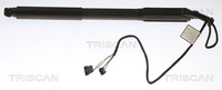 Gasfeder, KOFFER-/LADERAUM FÜR BMW X5 (E70) - Triscan 8710 11303