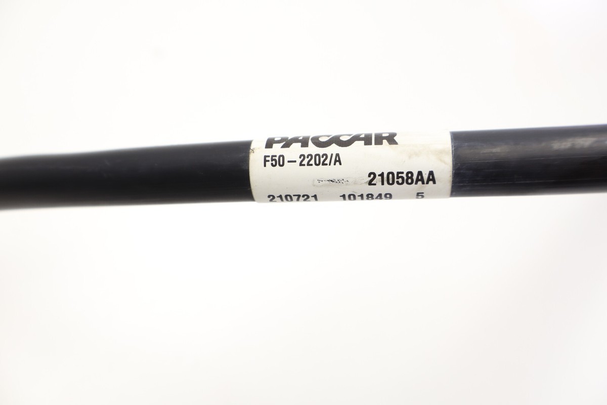 Ｃ５８２１３　プレー 51GEp1YY02L._UF350,350_QL80_.jpg