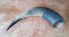 Vtg Large Cowbull Horn Cap For Powder Hornblowing Hornwestern Decorrepurpose