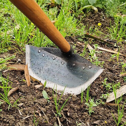 Testa zappa erba acciaio pala diserbo ispessita giardinaggio zappa aratura terreno - Foto 10 di 12