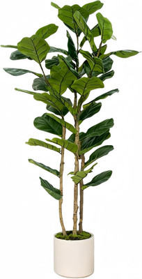 6FT Artificial Fiddle Leaf Fig Tree with White Planter - Faux Indoor Plant
