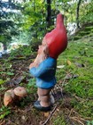 Bild 3 von 8