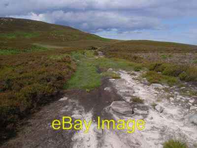 Photo 6x4 St Oswald's Way below Simonside St Oswald's Way LinkExternal li c2009