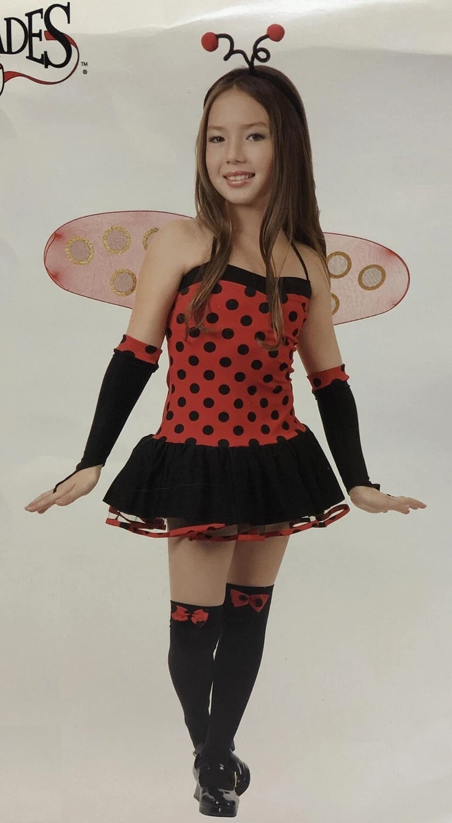 Ladybug fancy best sale dress