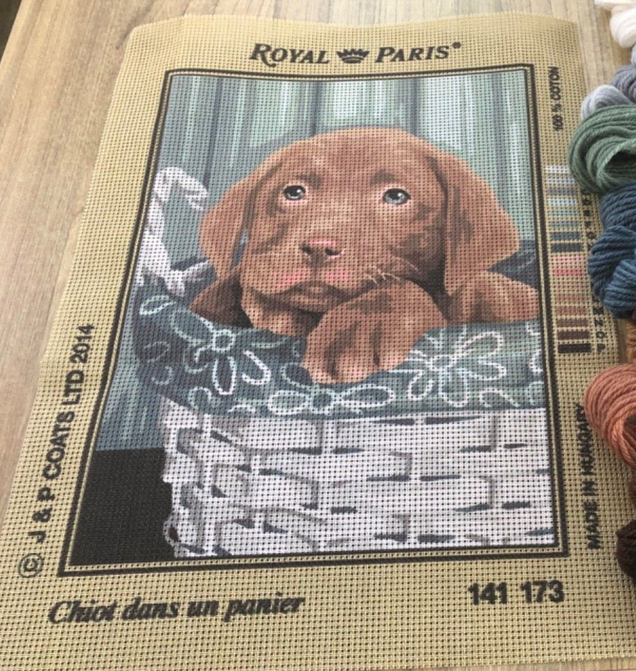 Royal Paris Tapestry KitChiot dans un Panier 40cm x30cm (canvas, wool