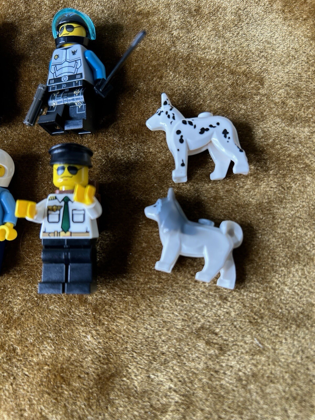 Picture 4 of 5