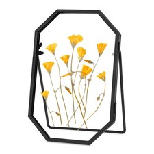 Glass Pressed Flower Frame Handmade, Octagon, 4x6 inches, Black