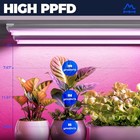 6 Pack 4ft T8 Barrina LED Grow Light 252W Full Spec