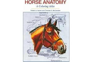 #ad Horse Anatomy: A Coloring Atlas Spiral bound $29.15