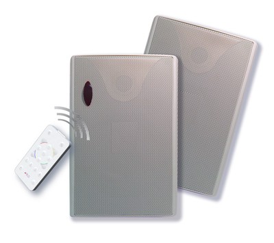 A-Bus/Direct 5.25in Active Outdoor/On-Wall Speakers