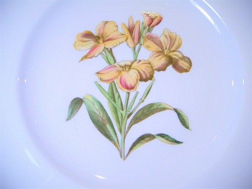 Royal Worcester Hand Painted "Williamson Flower" Bone China Luncheon Plates - Picture 61 of 64