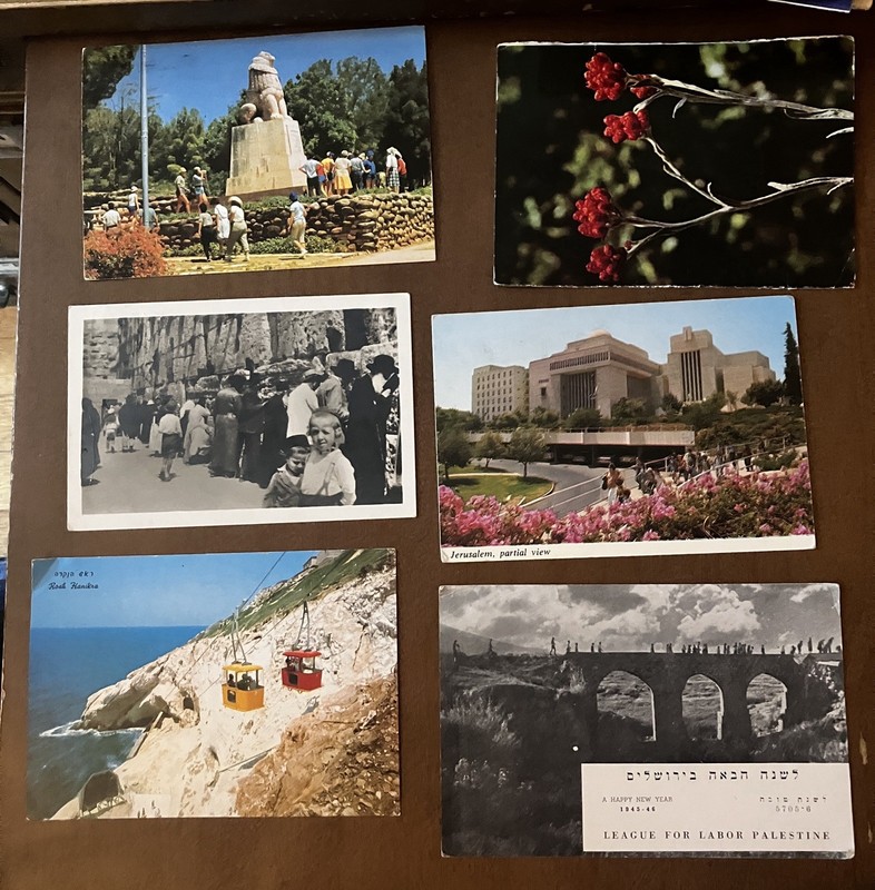Israel Vintage Postcard Lot Of 6 League For Labor Palestine