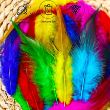 Colorful Craft Rooster Feathers - 200Pcs 5-7Inch Colored Feathers Bulk for Ki...
