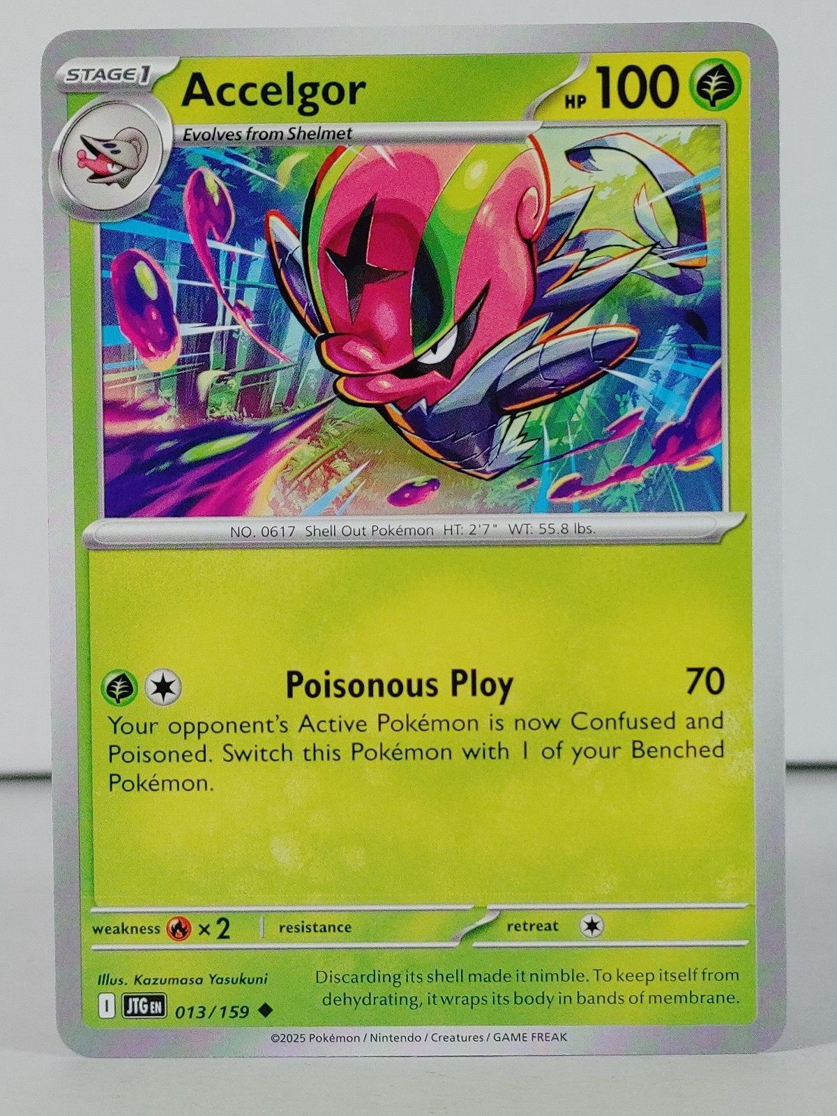 Accelgor -  POKEMON - Journey Together - 013/159 - singles