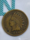 1899 Indian Head One Cent Penny Circulated & Ungraded       N